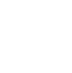 Google reviews icon